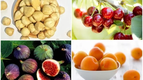 [Agriculture] Premier producteur et exportateur de noisettes, cerises, figues et abricots