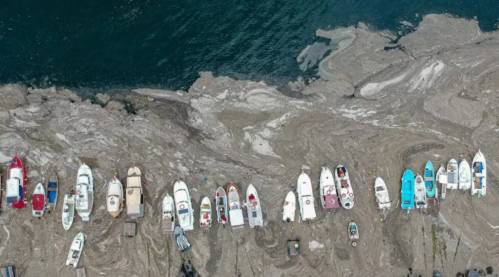 La Turquie lance un effort massif pour aspirer une épaisse couche de « morve de mer » étouffant sa côte