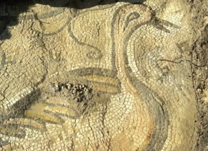 Un paysan turc découvre une mosaïque dans la province d'Adıyaman