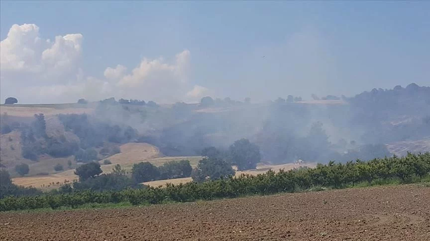 Un incendie de forêt frappe le nord-ouest de la Turquie
