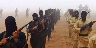 Turquie : 11 combattants terroristes étrangers de nationalité française, expulsés