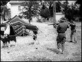 Quotidien National Le Temps d'Algérie : La France commettait un génocide