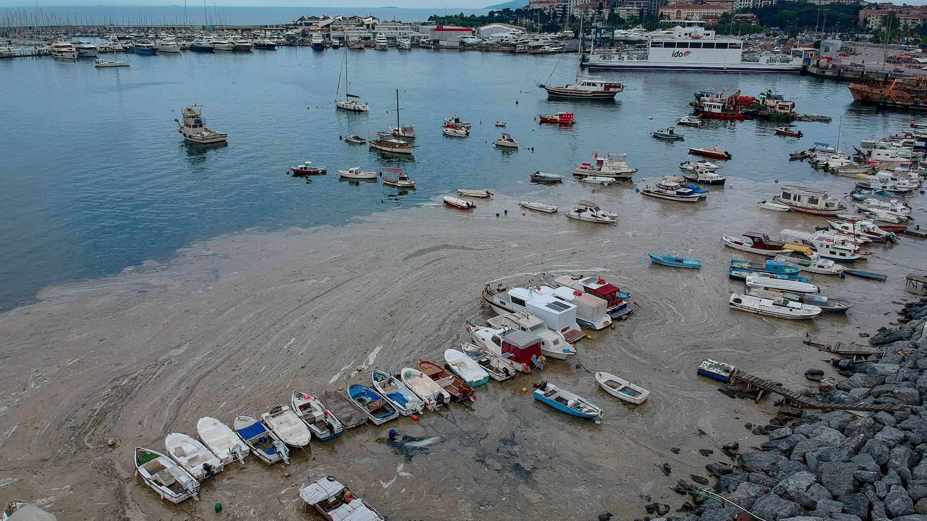 La Turquie renforce les contrôles contre les entreprises de décharge de déchets pour résoudre le problème du mucilage de la mer