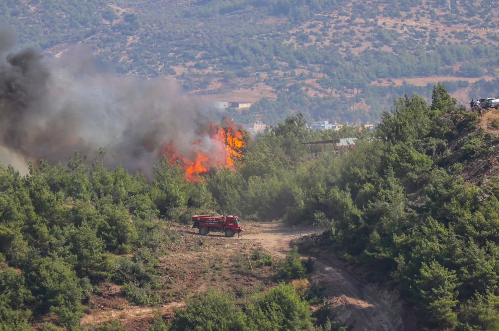 Un incendie de forêt à Hatay en Turquie est totalement sous contrôle