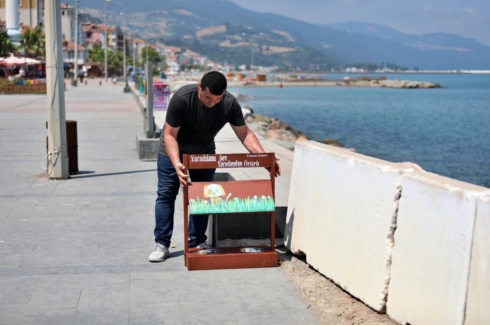 Les tableaux noirs recyclés deviennent des mangeoires pour les animaux en Turquie