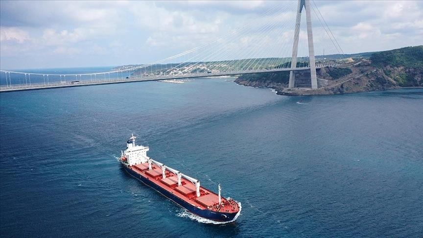 La Turquie déclare que le navire céréalier transportant du maïs ukrainien a passé l'inspection et continuera sa route vers le Liban