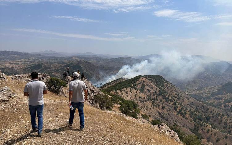 Incendies de forêt à Siirt et Bingöl
