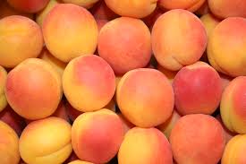 Le Japon livre le satellite TURKSAT 4A à la Turquie en présence d'Erdoğan