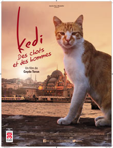 Le film « Kedi, des chats et des hommes », en association avec la Fondation 30 Millions d'Amis