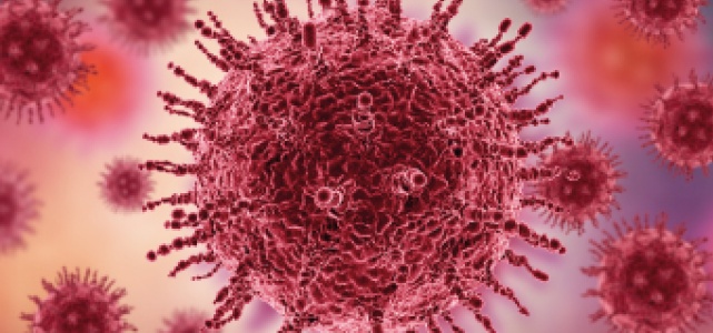 coronavirus : 560 morts 