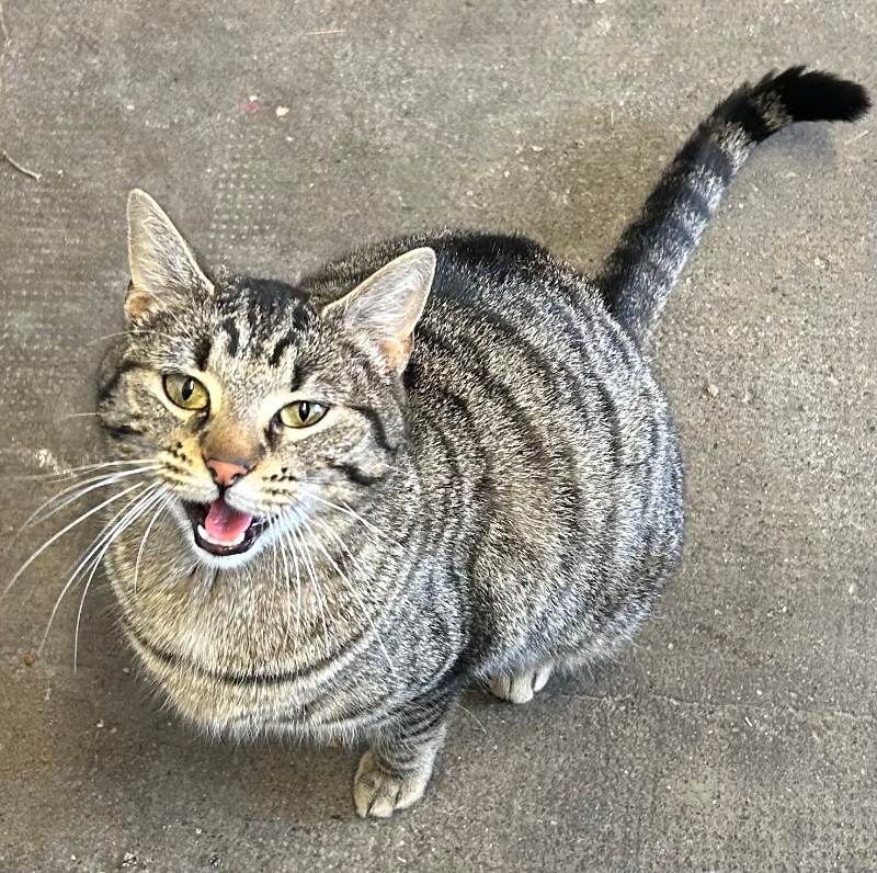 Ils divorcent, elle obtient la garde : il devra verser 200 € de pension…