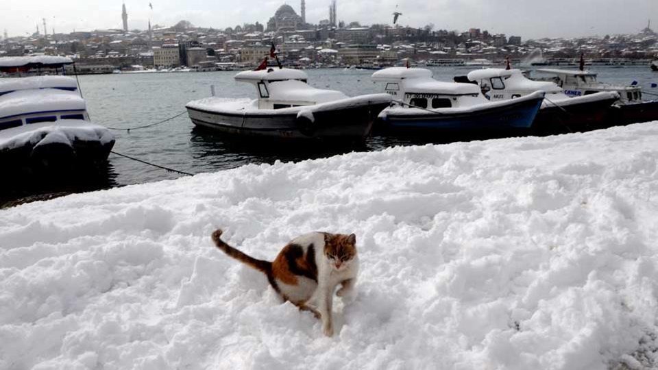 Neige et froid intense En Turquie 