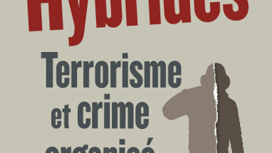 PKK : organisation criminelle hybride
