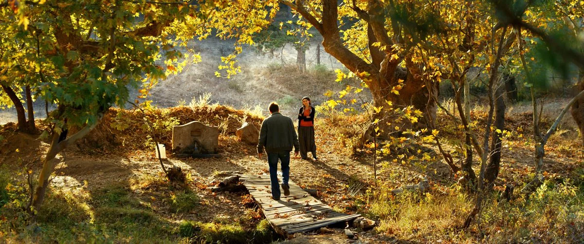 [Cannes 2018] - Le poirier sauvage un maître turc en fin de soirée