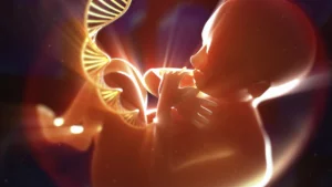 Bébés génétiquement modifiés