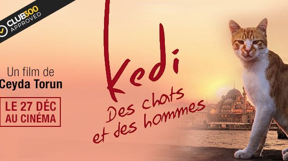 Le Parisien : 4/5 pour le film "KEDI"