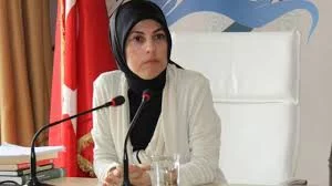 "La Turquie cible les terroristes, pas les Kurdes"