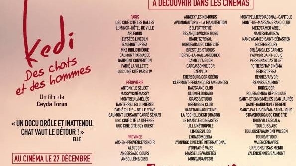 Ronronnez de plaisir devant KEDI, DES CHATS ET DES HOMMES au cinéma !
