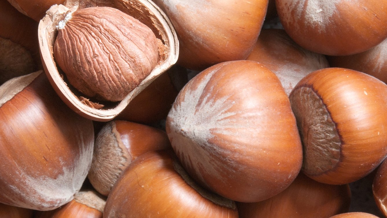 Nutella : Les producteurs de noisettes de Turquie dénoncent les méthodes de Ferrero