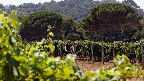 Turquie : malgré les obstacles, l'industrie du vin s'accroche pour vivre