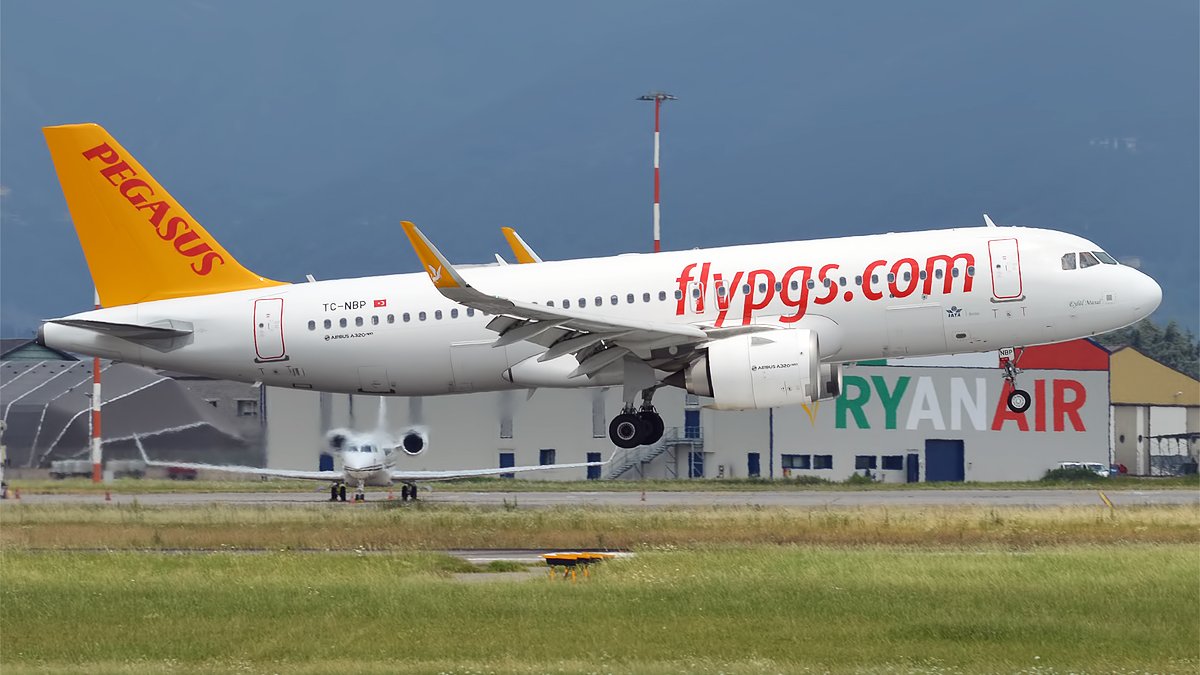 Le trafic passagers de la compagnie turque Pegasus Airlines de janvier à novembre en baisse de 51%
