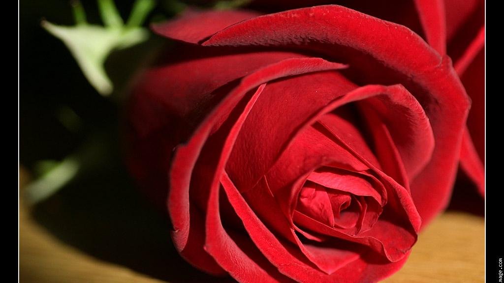 La journée mondiale de la femme - Dünya Kadınlar Günü 