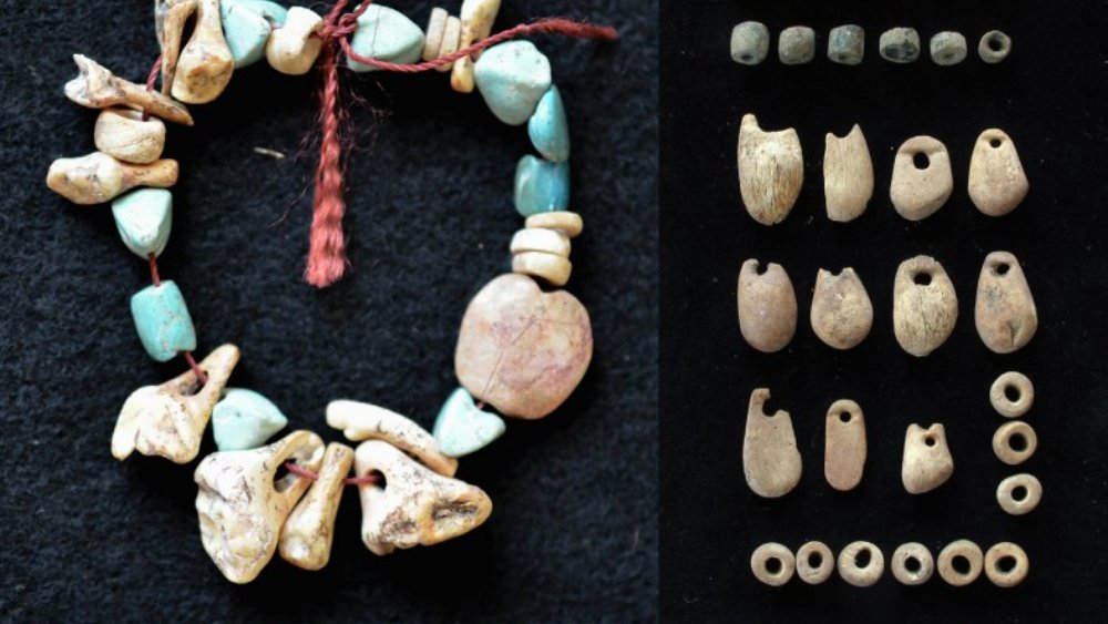 Les archéologues ont trouvé des dents humaines utilisées comme bijoux il y a 8500 ans