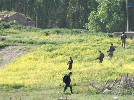 Une terroriste capturée à Nusaybin 
