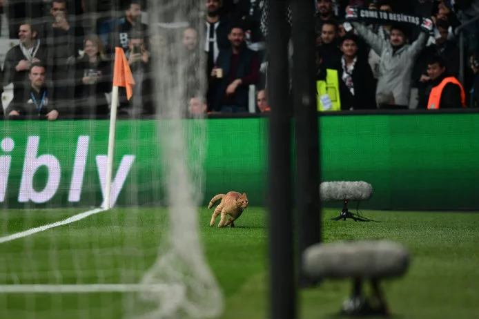 Le Besiktas poursuivi par l'UEFA