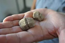 Les plus vieux sceaux du monde, des traces du royaume hittite