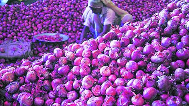 L'Inde importera 12 500 tonnes d'oignons de Turquie