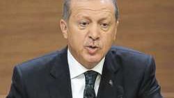 Erdogan appelle à des législatives anticipées le 1er novembre