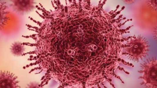 L'OMS décrète l'urgence internationale face au nouveau coronavirus