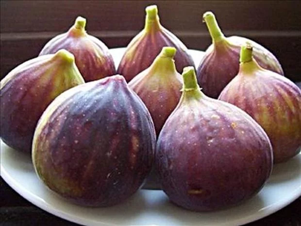 La Turquie est le leader dans la production de figues