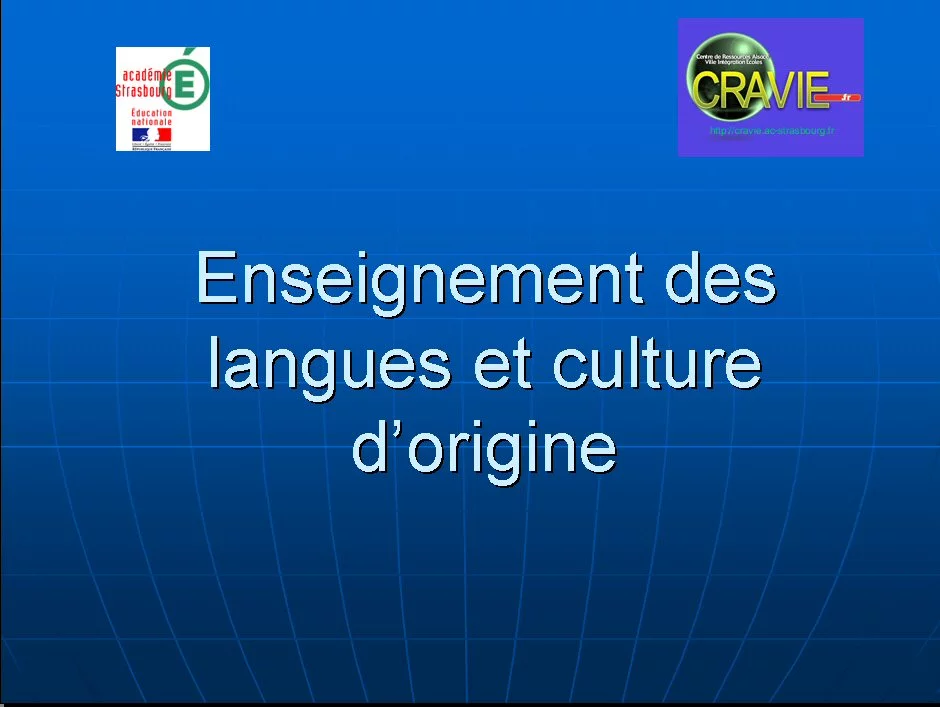 Enseignement de leur langue maternelle aux élèves turcs scolarisés dans l'enseignement élémentaire 