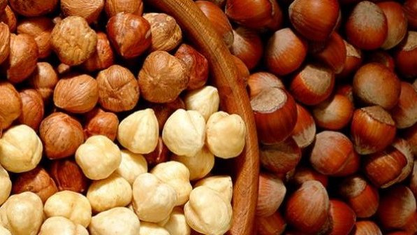 Les exportations de noisettes bondissent de 45% entre septembre et mai