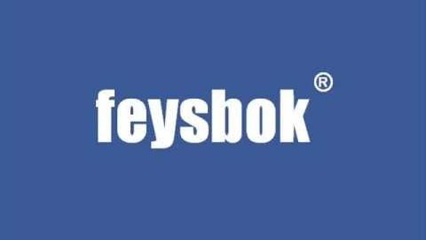 Les Turcs (ques) sont des facebook'ophiles…