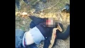 Les soldats grecs tirent sur les réfugiés pour tuer