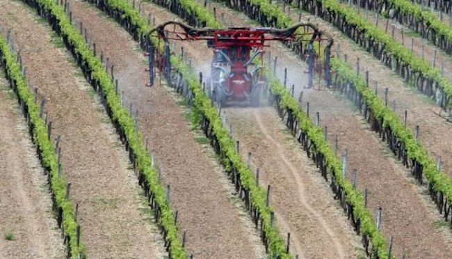 L'utilisation de pesticides en Turquie a augmenté de 57% au cours de la dernière décennie