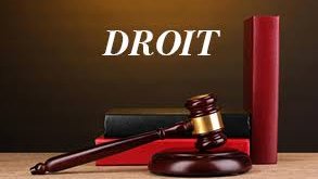 La Turquie expulse les terroristes français vers la France ? Légal et normal