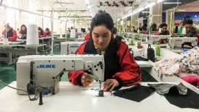 Ouïghours : dans le prêt-à-porter, du coton made in « travail forcé »