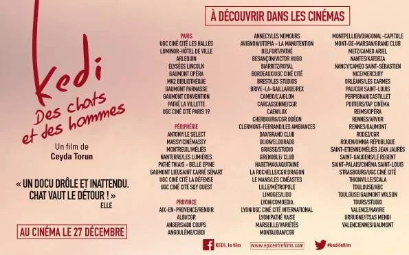 Ronronnez de plaisir devant KEDI, DES CHATS ET DES HOMMES au cinéma !