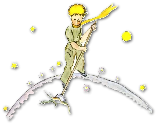 [Bibliothèque] : Le Petit Prince et les Turcs