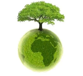La Turquie, bon élève écologique au sein des pays de l'OCDE