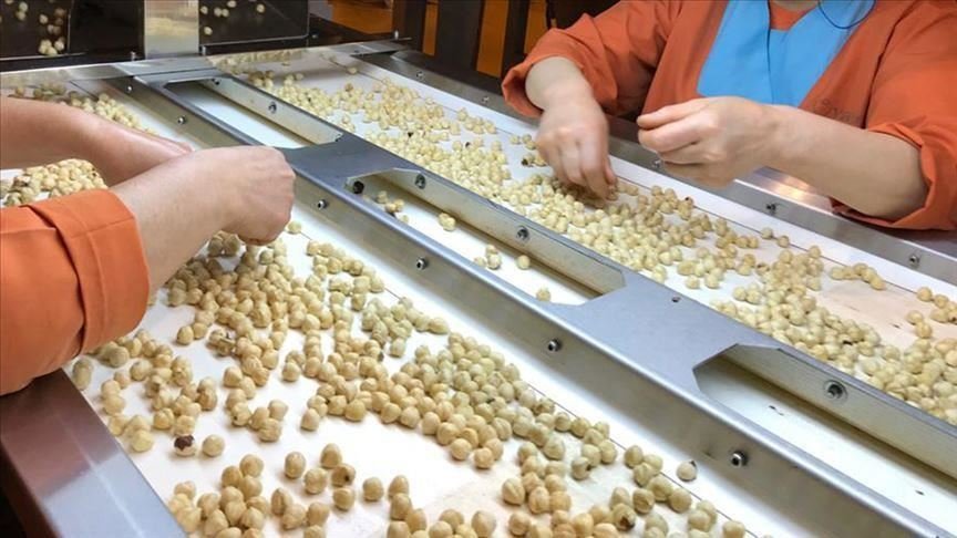 Les exportations de noisettes récoltent 2,2 milliards de dollars en septembre-juillet