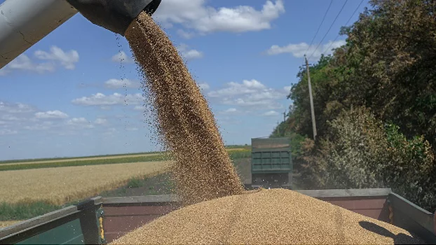 L'Ukraine va envoyer 25 000 tonnes de céréales au Nigeria via la Turquie