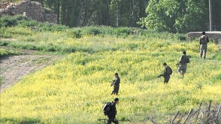 Une terroriste capturée à Nusaybin 