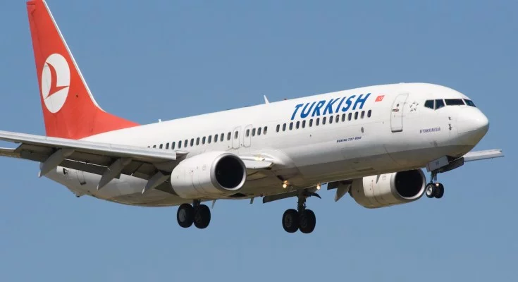 Retour cause ingestion aviaire d'un avion de Turkish Airlines