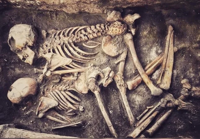 Squelettes humains de 5 000 ans découverts dans la province d'Eskişehir