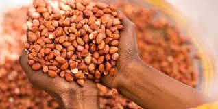 Le marché Turc s'ouvre aux producteurs sénégalais